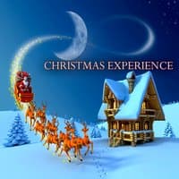 Christmas Experience