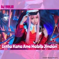 DJ Istila Kata Ane Habib Jindan