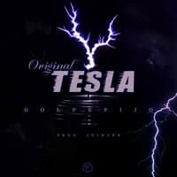 Original Tesla