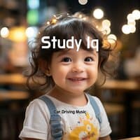 Study Iq