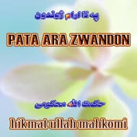 Pata Aram Zwandon