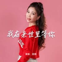 我在来世里等你