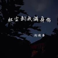 红尘赐我满身伤