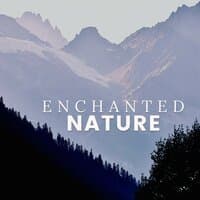 Enchanted Nature