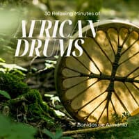 30 Relaxing Minutes of African Drums