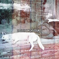 31 Sleepy Night Sounds