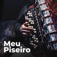 Meu Piseiro