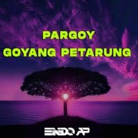 DJ Pargoy Goyang Petarung