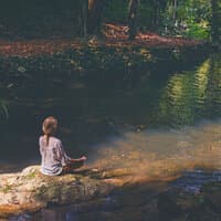 Forest Meditation