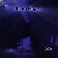 Scheißegal