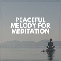 Peaceful Melody for Meditation