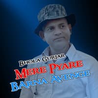 Mere Pyare Barna Avenge