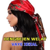 Vaye Xezal