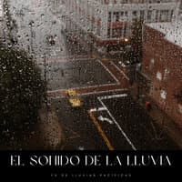 El Sonido De La Lluvia: FX De LLuvias Pacíficas