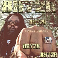 Plates & Tunes, Vol. 7