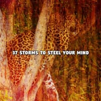 37 Storms To Steel Your Mind