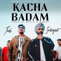 Kacha Badam Song