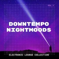 Downtempo Nightmoods, Vol. 1