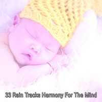 33 Rain Tracks Harmony for the Mind