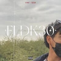 Fldk30