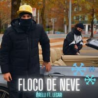 Floco de Neve