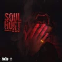 Soul Hurt