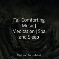 Fall Comforting Music | Meditation | Spa and Sleep