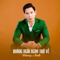 Quãng Ngãi Ngày Trở Về