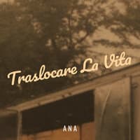 Traslocare La Vita