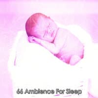 66 Ambience For Sleep