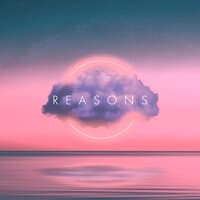 Reasons