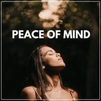 Peace of Mind