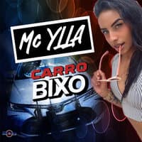 Carro Bixo