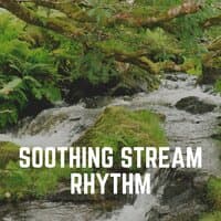 Soothing Stream Rhythm