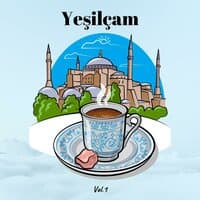 Yeşilçam, Vol. 1