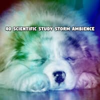 40 Scientific Study Storm Ambience