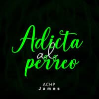 Adicta al Perreo