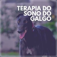 Terapia do Sono do Galgo