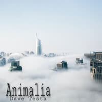 Animalia