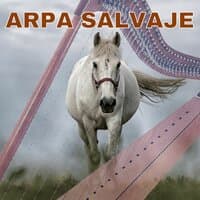 Arpa Salvaje