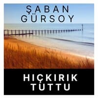 Hıçkırık Tuttu