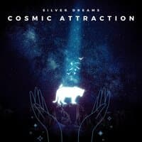 Cosmic Attraction