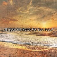 48 Special Auras For Zen Input