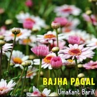 Bajha Pagal