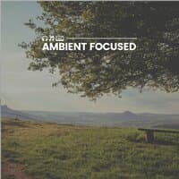 Ambient Focused