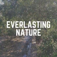 Everlasting Nature