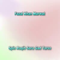 Spin Raqib Sara Gad Tarso