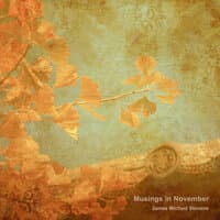 Musings in November