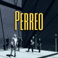 Perreo