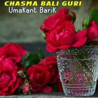 Chasma Bali Guri